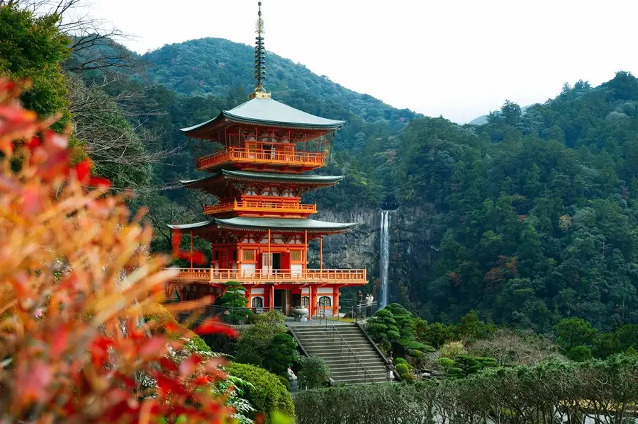 Chemin de pèlerinage Kumano Kodo