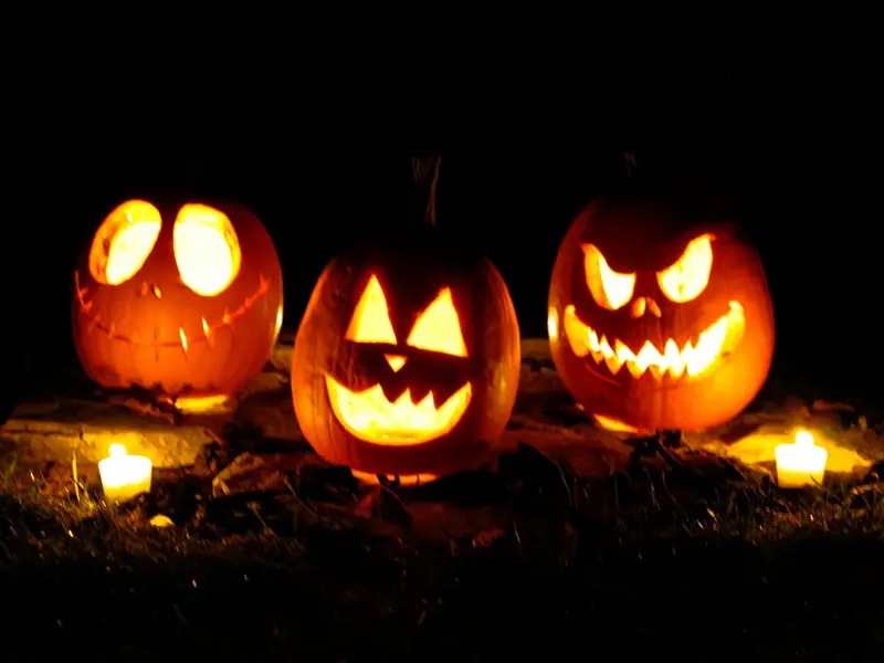 Décoration citrouilles Jack-O'-Lanterns illuminées pour Halloween aux États-Unis
