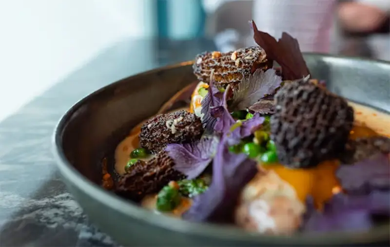 Menu avec photos de plats plastifiées - signe de restaurant touristique