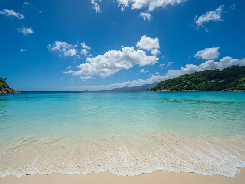Plage d'Anse Intendance aux Seychelles avec sable blanc et cocotiers