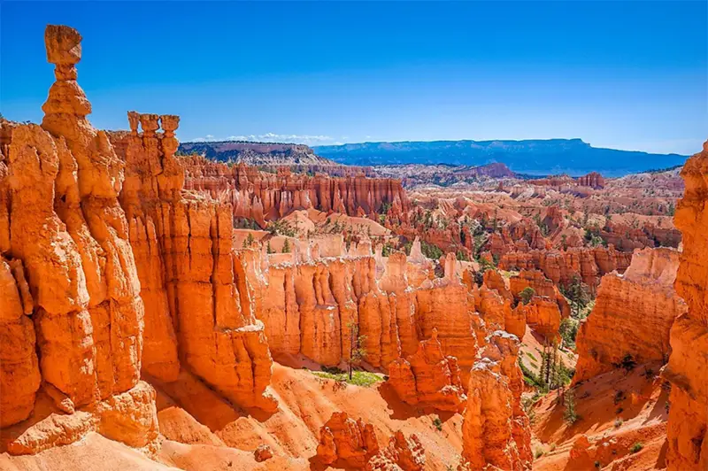 Bryce Canyon hoodoos Utah