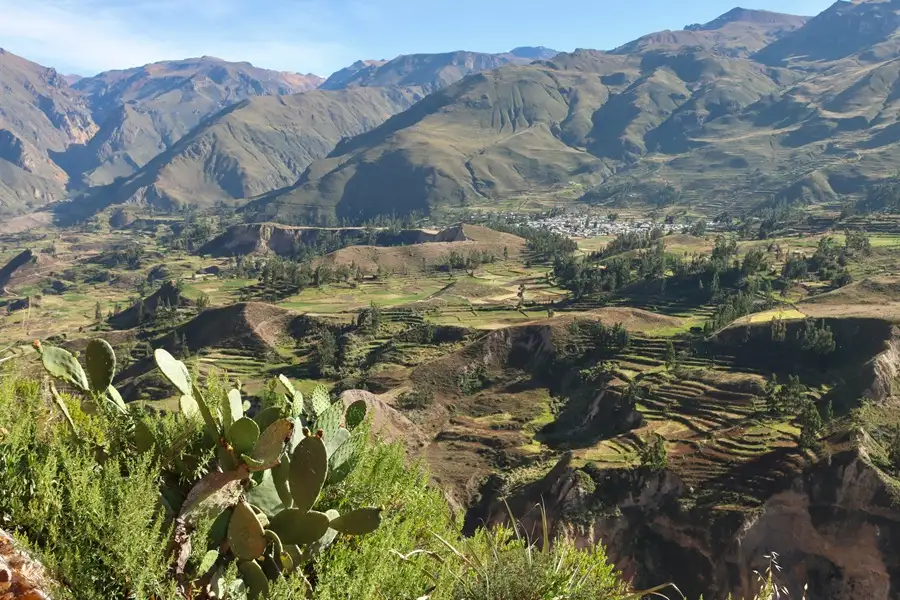 Colca Canyon