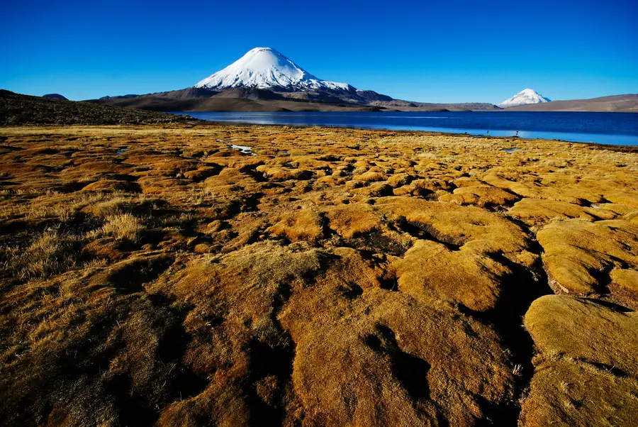 Désert d'Atacama au Chili avec geysers du Tatio et volcans andins sous ciel étoilé