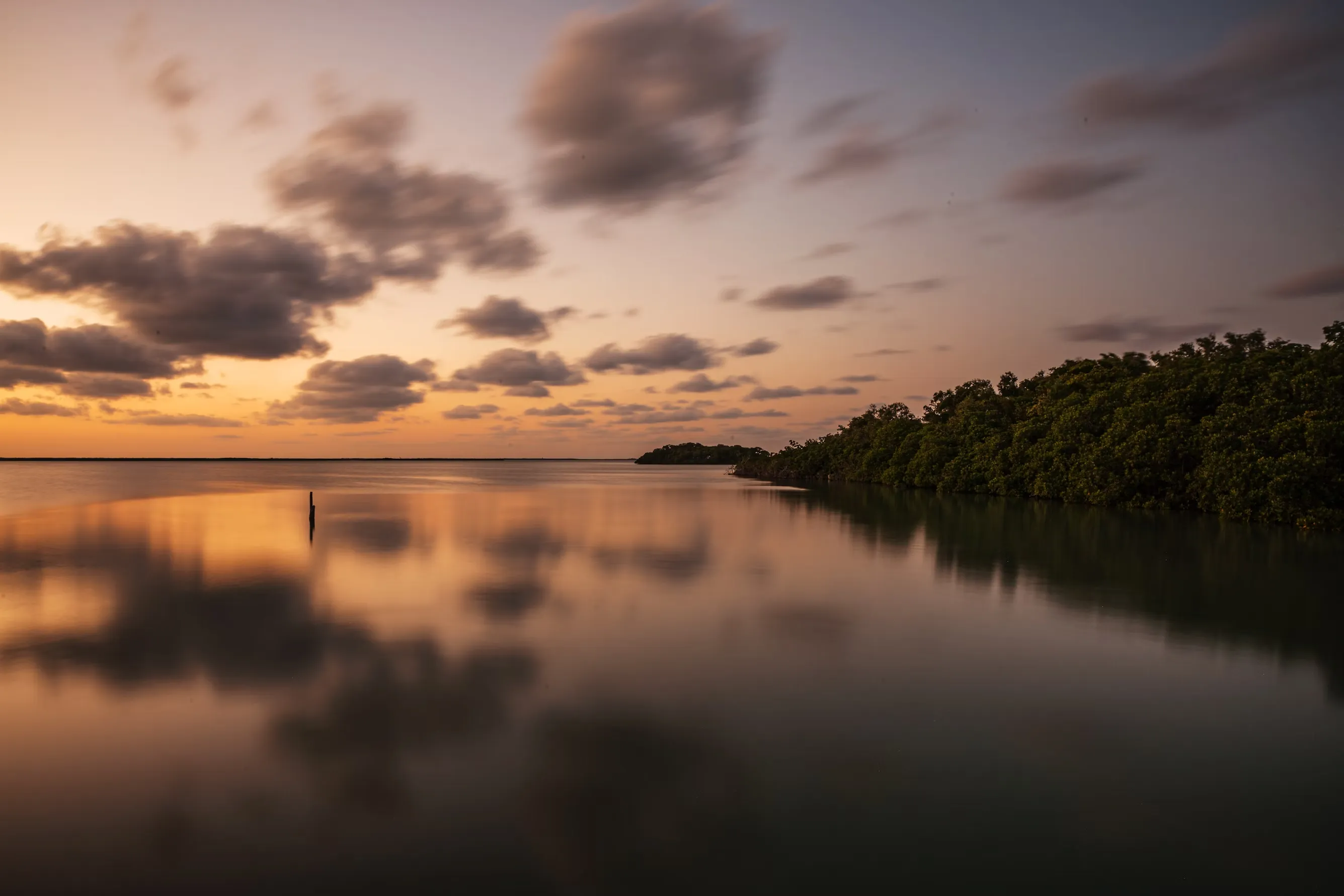 Sian Ka'an mangroves