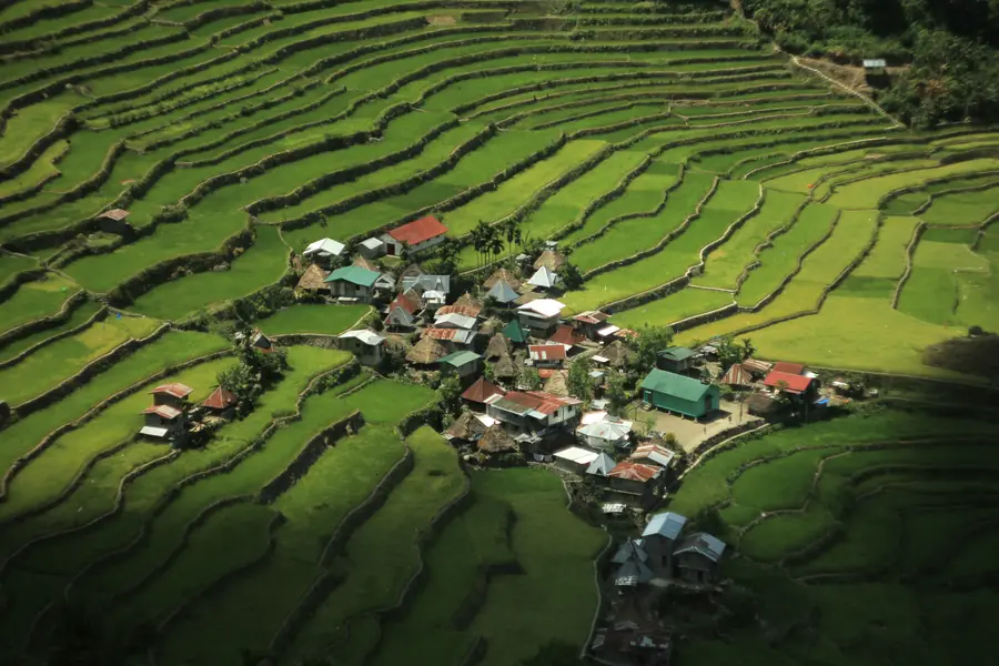 Rizières en terrasses de Banaue aux Philippines avec cultures en escalier verdoyantes et montagnes tropicales