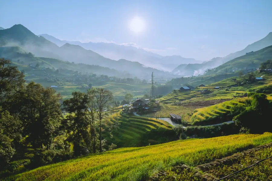 Rizières en terrasses verdoyantes du Vietnam avec reflets dorés au coucher du soleil